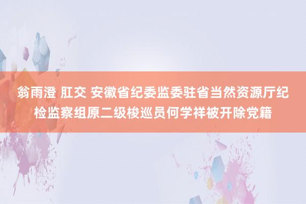 翁雨澄 肛交 安徽省纪委监委驻省当然资源厅纪检监察组原二级梭巡员何学祥被开除党籍