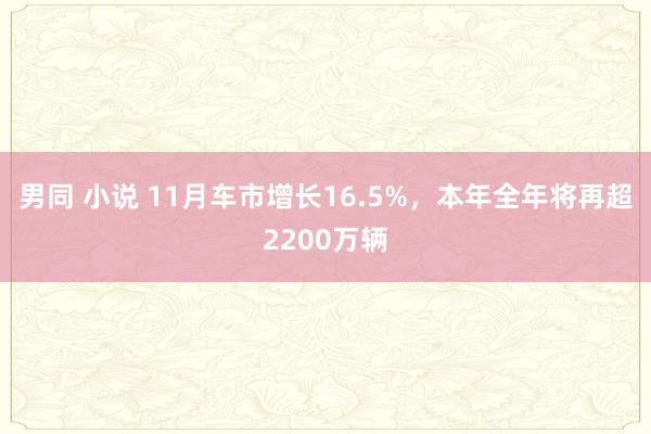 男同 小说 11月车市增长16.5%，本年全年将再超2200万辆