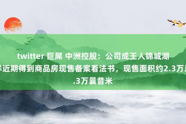 twitter 巨屌 中洲控股：公司成王人锦城湖岸模样近期得到商品房现售备案看法书，现售面积约2.3万曩昔米