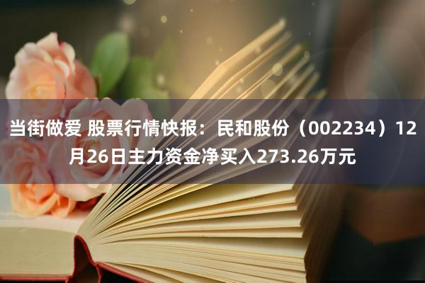 当街做爱 股票行情快报：民和股份（002234）12月26日主力资金净买入273.26万元