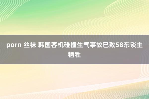 porn 丝袜 韩国客机碰撞生气事故已致58东谈主牺牲