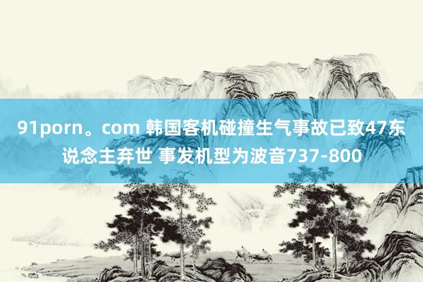 91porn。com 韩国客机碰撞生气事故已致47东说念主弃世 事发机型为波音737-800