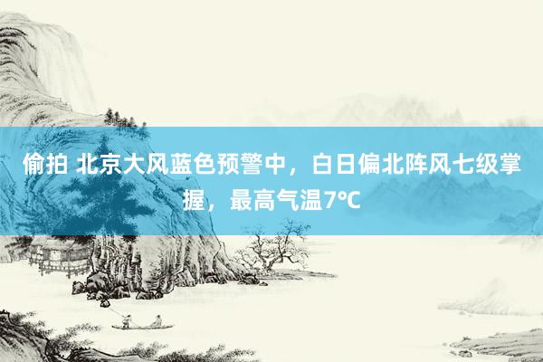 偷拍 北京大风蓝色预警中，白日偏北阵风七级掌握，最高气温7℃