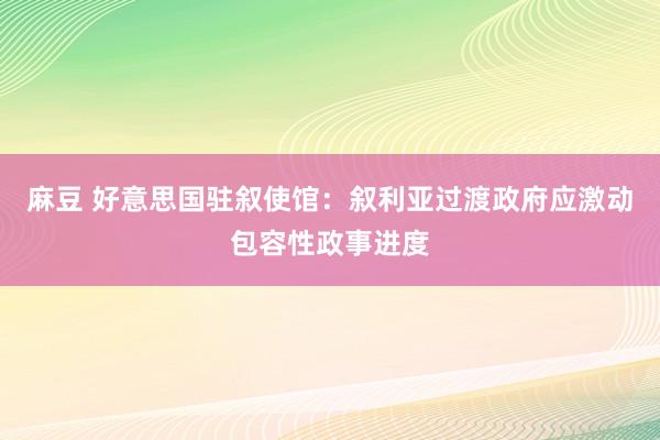 麻豆 好意思国驻叙使馆：叙利亚过渡政府应激动包容性政事进度