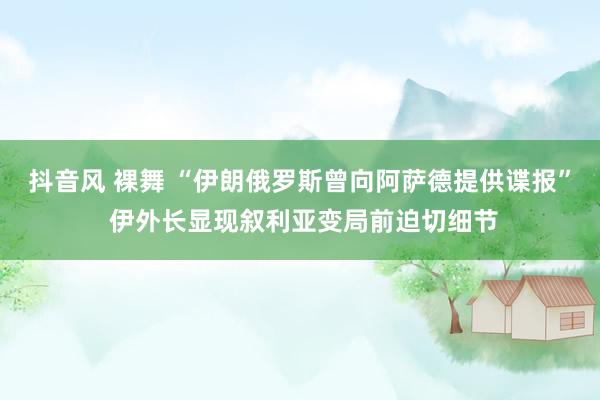 抖音风 裸舞 “伊朗俄罗斯曾向阿萨德提供谍报” 伊外长显现叙利亚变局前迫切细节