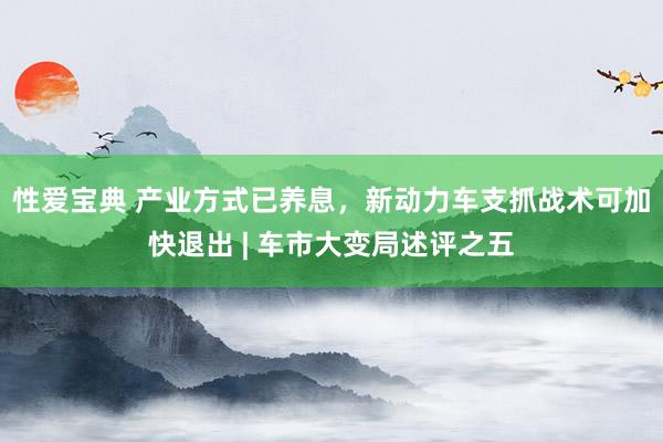 性爱宝典 产业方式已养息，新动力车支抓战术可加快退出 | 车市大变局述评之五