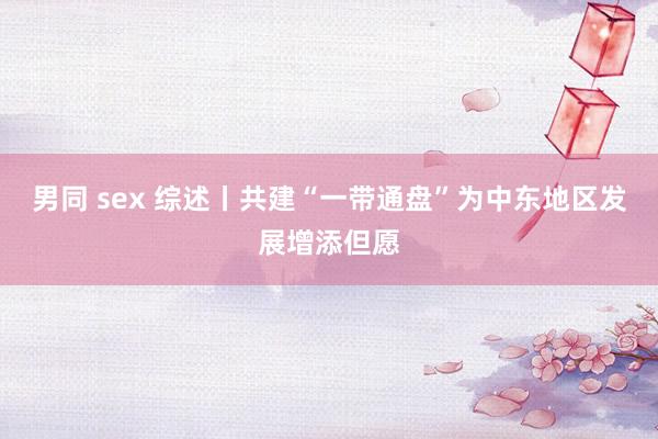 男同 sex 综述丨共建“一带通盘”为中东地区发展增添但愿