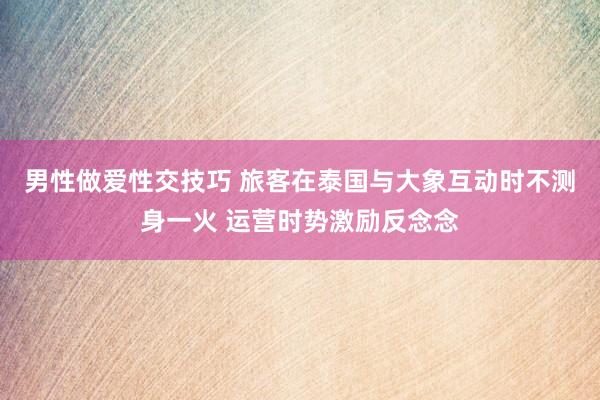 男性做爱性交技巧 旅客在泰国与大象互动时不测身一火 运营时势激励反念念