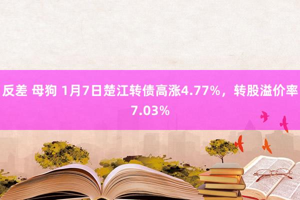 反差 母狗 1月7日楚江转债高涨4.77%，转股溢价率7.03%