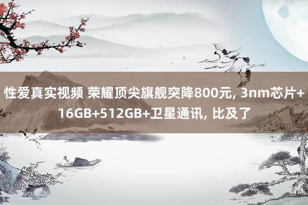 性爱真实视频 荣耀顶尖旗舰突降800元， 3nm芯片+16GB+512GB+卫星通讯， 比及了