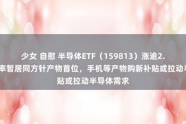 少女 自慰 半导体ETF（159813）涨逾2.7%，换手率暂居同方针产物首位，手机等产物购新补贴或拉动半导体需求