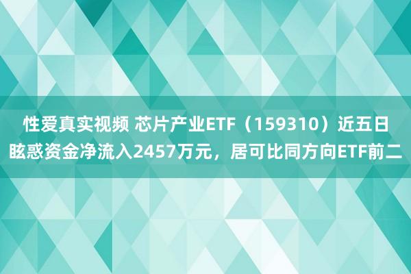 性爱真实视频 芯片产业ETF（159310）近五日眩惑资金净流入2457万元，居可比同方向ETF前二