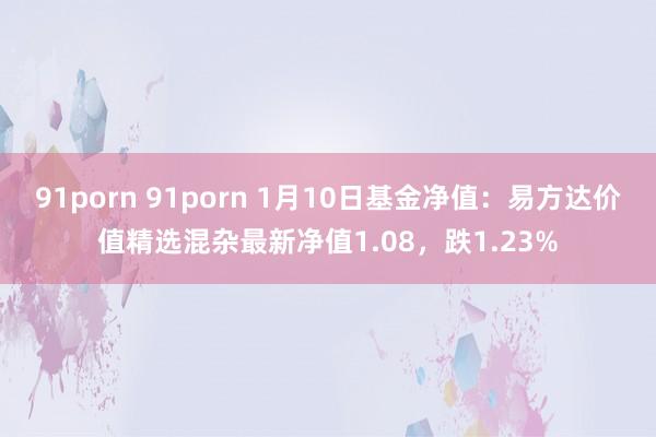 91porn 91porn 1月10日基金净值：易方达价值精选混杂最新净值1.08，跌1.23%