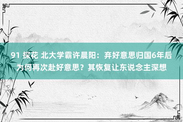 91 探花 北大学霸许晨阳：弃好意思归国6年后为何再次赴好意思？其恢复让东说念主深想