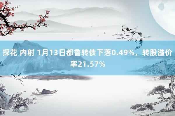 探花 内射 1月13日都鲁转债下落0.49%，转股溢价率21.57%