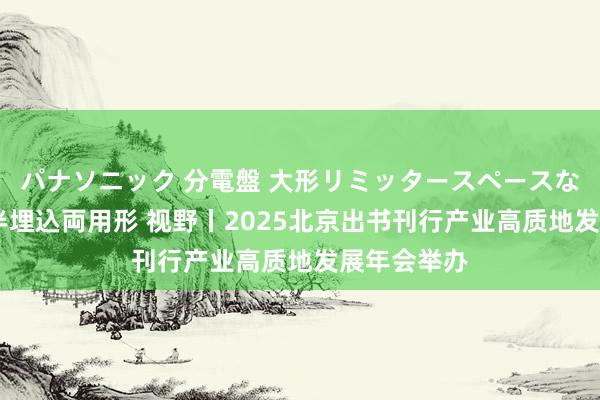 パナソニック 分電盤 大形リミッタースペースなし 露出・半埋込両用形 视野丨2025北京出书刊行产业高质地发展年会举办