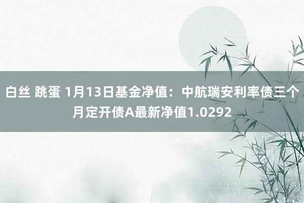 白丝 跳蛋 1月13日基金净值：中航瑞安利率债三个月定开债A最新净值1.0292