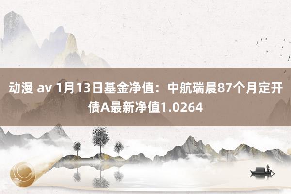 动漫 av 1月13日基金净值：中航瑞晨87个月定开债A最新净值1.0264