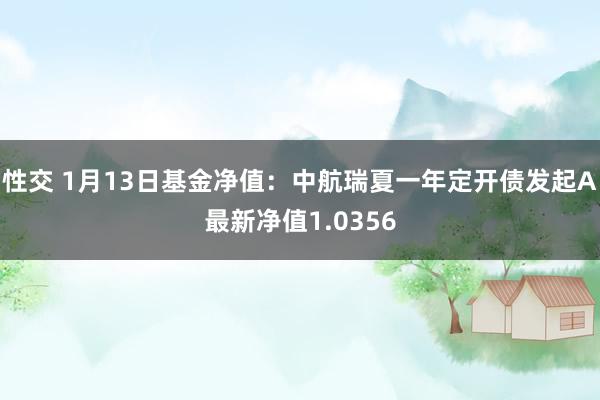 性交 1月13日基金净值：中航瑞夏一年定开债发起A最新净值1.0356