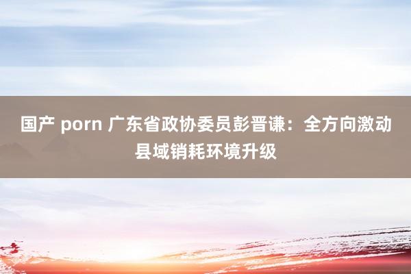 国产 porn 广东省政协委员彭晋谦：全方向激动县域销耗环境升级