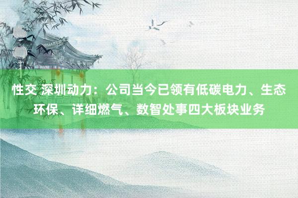 性交 深圳动力：公司当今已领有低碳电力、生态环保、详细燃气、数智处事四大板块业务