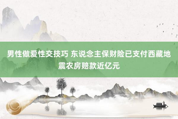 男性做爱性交技巧 东说念主保财险已支付西藏地震农房赔款近亿元