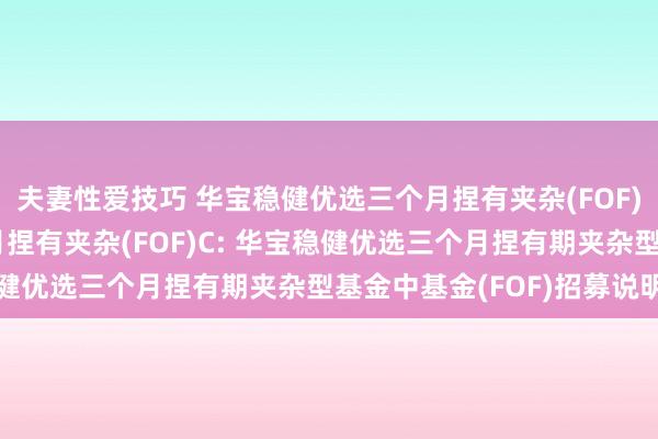 夫妻性爱技巧 华宝稳健优选三个月捏有夹杂(FOF)A，华宝稳健优选三个月捏有夹杂(FOF)C: 华宝稳健优选三个月捏有期夹杂型基金中基金(FOF)招募说明书